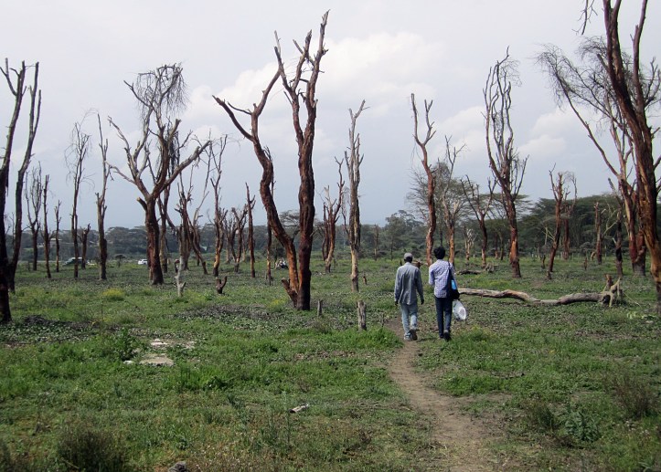 Lake Naivasha