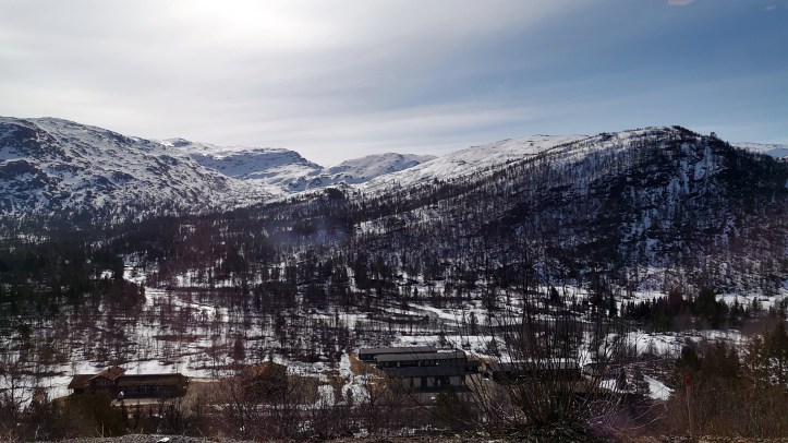 Somewhere between Bergen and Myrdal - most probably Orneberget.jpg