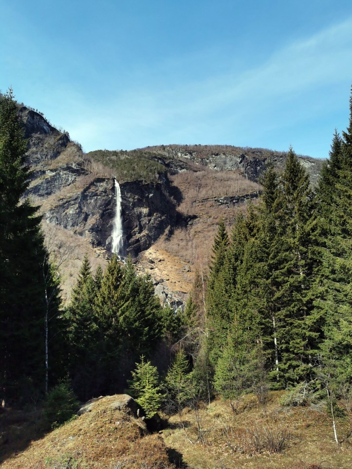 View during Flambana.jpg