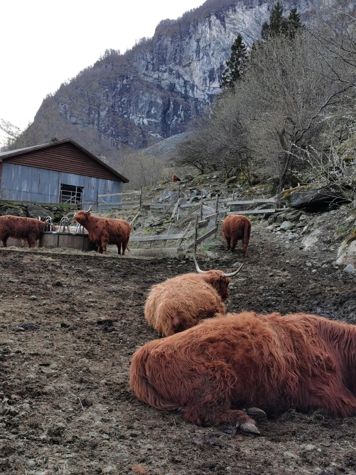 View near hostel.jpg